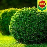 Удобрение Compo для буксусов, вечнозеленых растений, хвои 1 л 2558