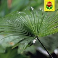 Фото Аппликатор Compo для зеленых растений и пальм 150 мл 0303