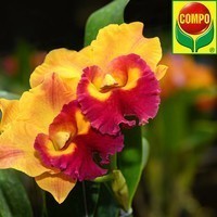 Удобрение Compo для орхидей 500 мл 4089
