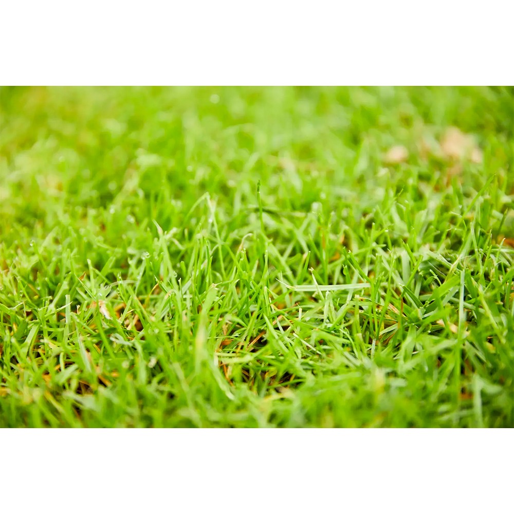 Твердое удобрение Compo для газонов 20 кг 5284