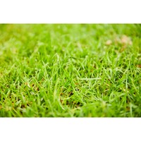 Твердое удобрение Compo для газонов 20 кг 5284