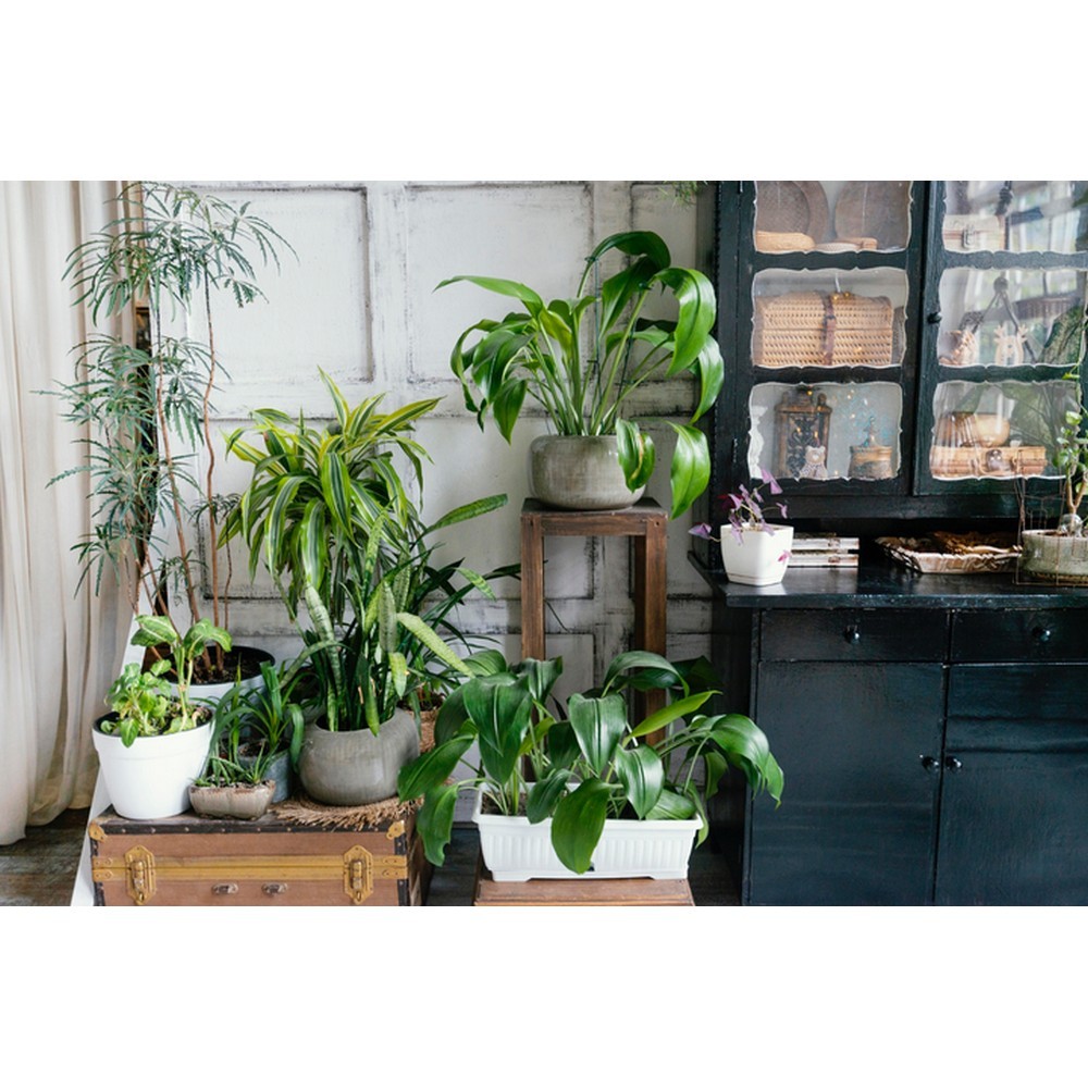 Торфосмесь Compo Complete универсальная 5 л 3184