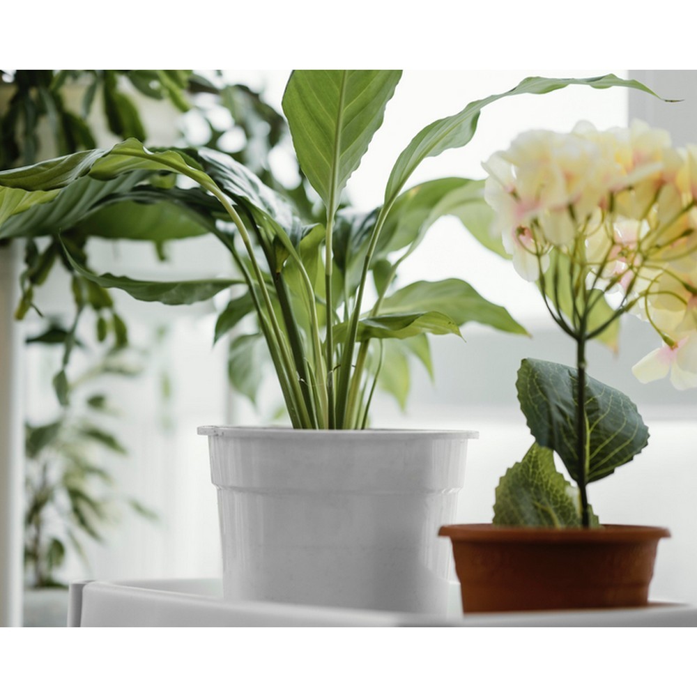 Торфосмесь Compo Complete универсальная 5 л 3184