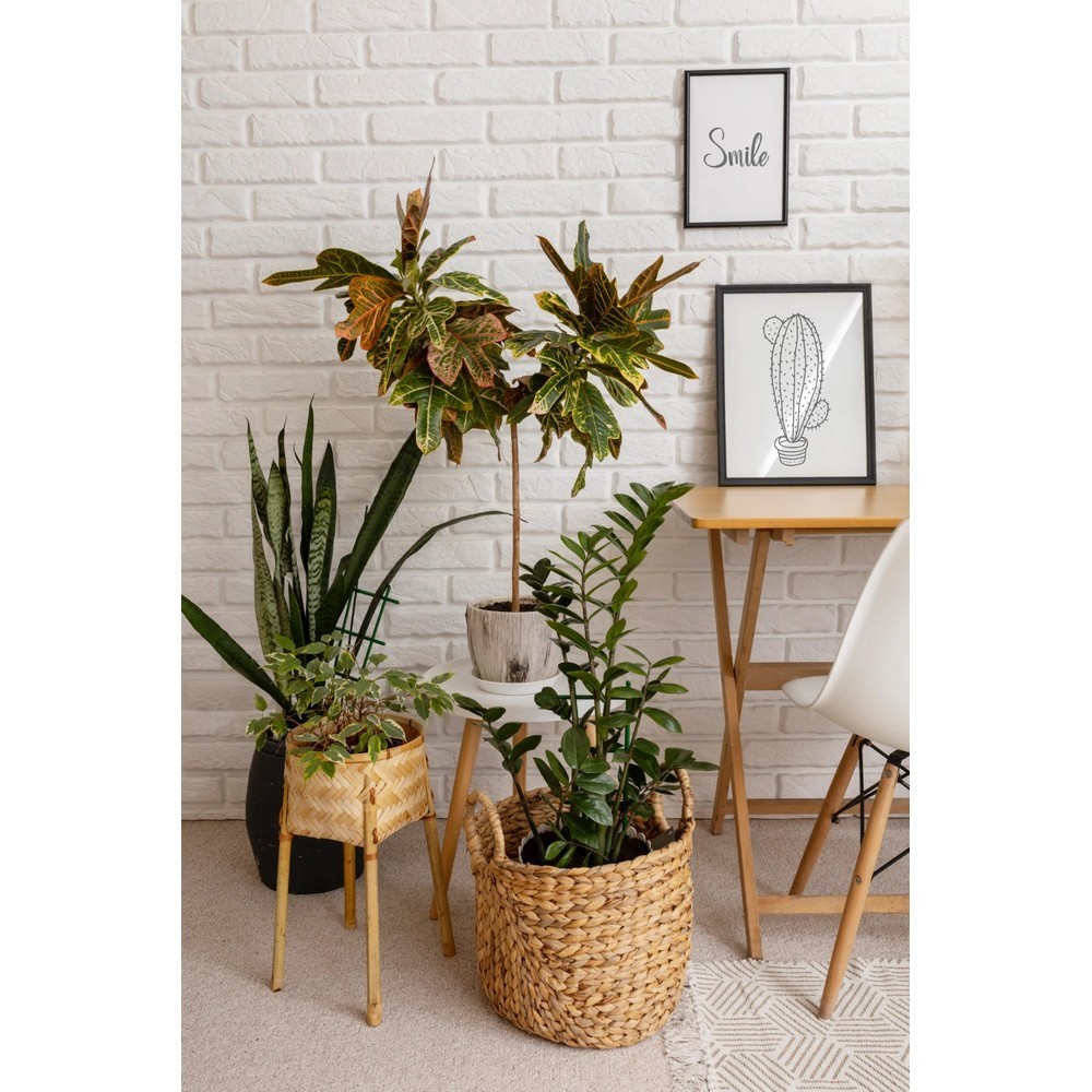 Универсальный спрей Compo Complete 500 мл 6357