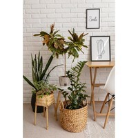 Универсальный спрей Compo Complete 500 мл 6357