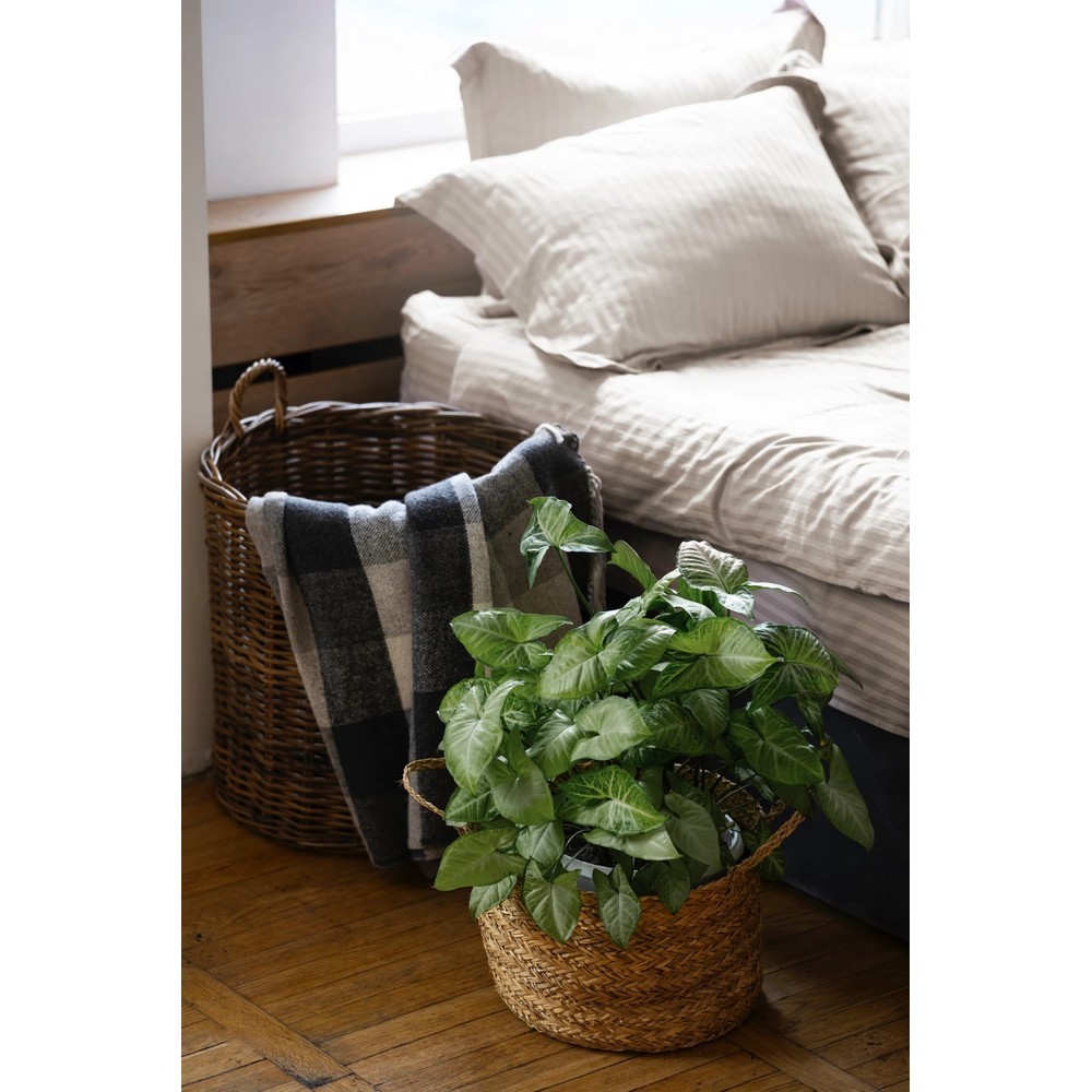 Универсальный спрей Compo Complete 500 мл 6357