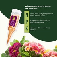 Аппликатор Compo Цветочный бустер 5 x 30 мл 4138