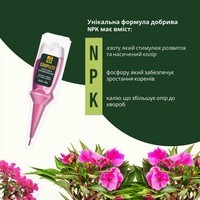 Фото Аппликатор Compo Complete для комнатных растений 5 шт x 30 мл 7409