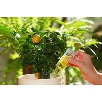 Фото Набор аппликаторов Compo для цитрусовых 30 мл 6 шт N3285-6